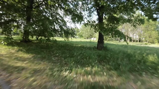 A rollerblader wearing protective gear rides through a park on a sunny day. The park is full of lush trees, green grass, and colorful flowers. The rollerblader rides past a bench, a tree, and a small