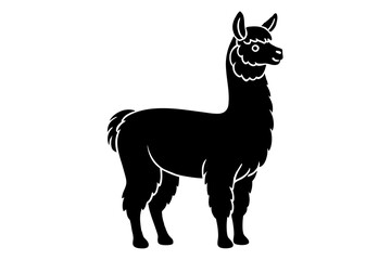 alpaca vector illustration