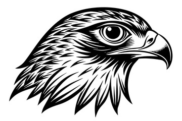 minimalistic hawk head vector 