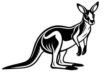 kangaroo vector silhouette illustration