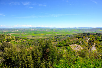 Fototapeta premium Tuscan countryside near Montalcino, Siena province, Italy