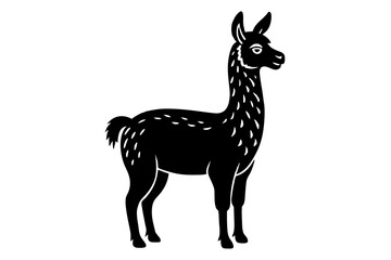 llama vector illustration