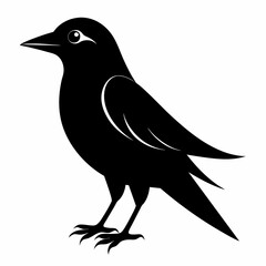 Simple bird silhouette