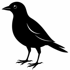 Simple bird silhouette