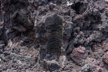 A lava tree mold, sometimes erroneously called a lava tree cast, is a hollow lava formation that formed around a tree trunk.   Hawaii Volcanoes National Park, July 1974 Lava Flow from Fissure vent
