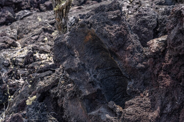 A lava tree mold, sometimes erroneously called a lava tree cast, is a hollow lava formation that...