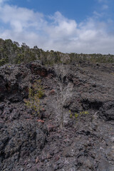  Hawaii Volcanoes National Park, July 1974 Lava Flow from Fissure vent