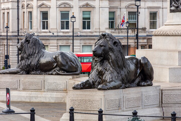 Trafalgar square lions at Nelson column, London, UK