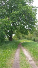 Promenade à Jargeau Loiret 45	