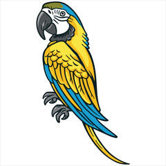 Parrot flat vector illustration Parrot cartoon   vector illustration