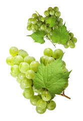 Obraz premium Fresh green grape falling in the air isolated on white background. High resolution image.