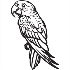 Parrot flat vector illustration Parrot cartoon   vector illustration