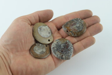 Paleontologist holding ammonite fossil pendants in open hand. Paleontologist is showing ammonite...