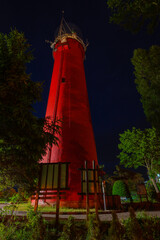 Latania Morska w Krynicy Morskiej nad polskim morzem bałtyckim © smoku7979