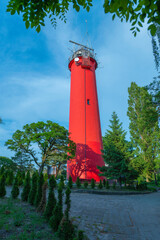 Latania Morska w Krynicy Morskiej nad polskim morzem bałtyckim © smoku7979