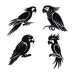 Parrot vector silhouette