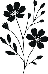 black and white flower isolated