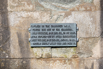 Statue and Monument to Poet Laureate Lord Alfred Tennyson