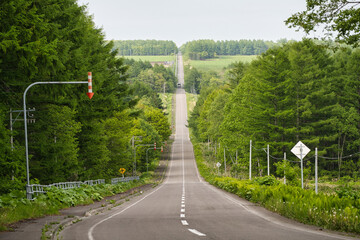 Hokkaido,Japan - June 3, 2024: Straight road called Milk Road in Nakashibetsu, Hokkaido, Japan