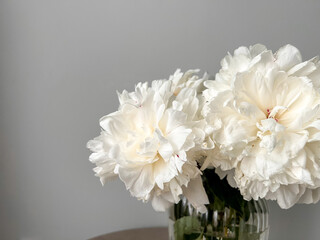 Fading buds of beautiful white peonies in a vase. Fallen flower petals on the table in a vase.