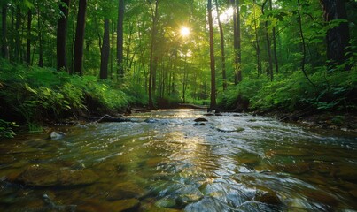 Obraz premium Clear stream through a forest