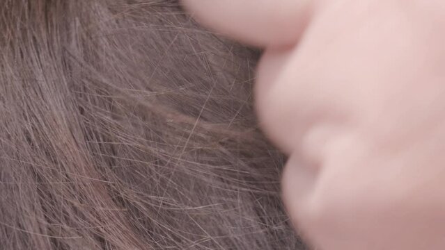 Parent's hands checking school-age child's hair for insects, searching for lice and nits, close-up head, importance of regular checks and preventive care