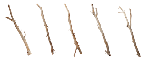 Wooden curved snag stick isolated on white, top view