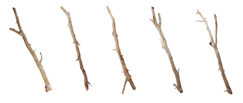 Wooden curved snag stick isolated on white, top view