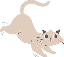 Jumping Cat Pet