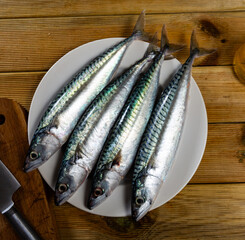Delicious sardines on plate served with parsley, ready to serve