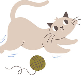 Cat Playing With Threads Ball