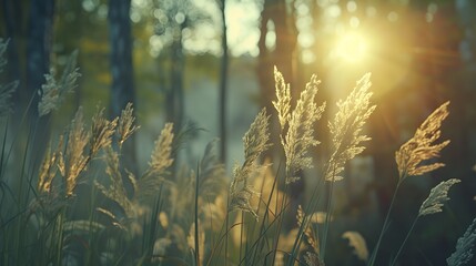 the serene beauty of wild grasses swaying in the forest at sunset, with a mesmerizing macro perspective and soft vintage hues, creating a captivating summer nature scene in high-definition realism - Powered by Adobe