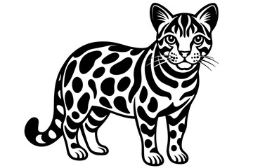 ocelot vector illustration