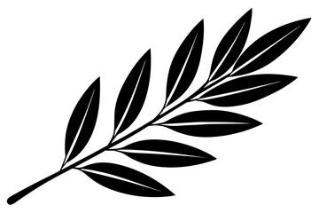 olive leaf vector illustration