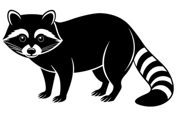 red panda vector illustration