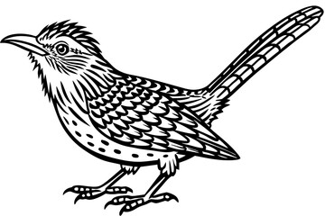 wren bird animal vector illustration