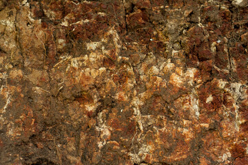 Sedimentary rocks with a high content of iron oxide. Red soil, loam. The texture of the soil.