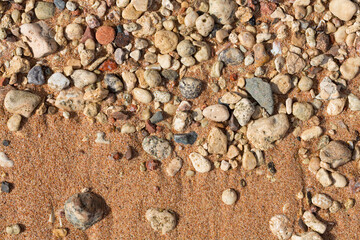 The coastline of the Red Sea. Sand, pebbles, corals, fossils. Background with a marine theme.