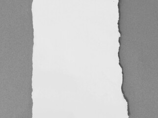 Ripped paper on grey background, space for advertising copy.