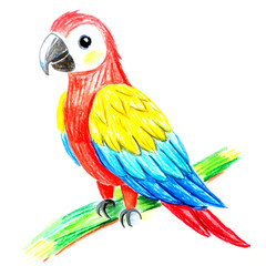 Obraz premium Child's Illustration of a Macaw: AI-Generated Hand-Drawn Representation