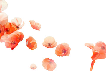 Fototapeta premium Brighten your Designs with Orange Flower Petals and Balloon. Artistic Composition concept