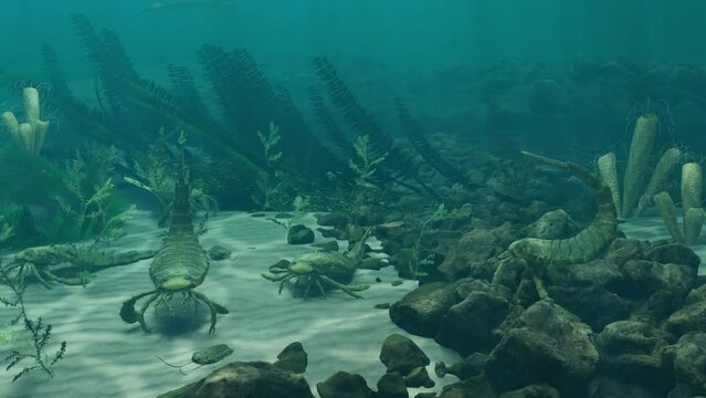 A 3D animation of extinct sea scorpions Eurypterus and Trilobites on a Silurian seafloor 420 million years ago.