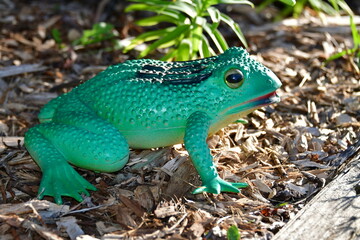 Naklejka premium Plastic Frog