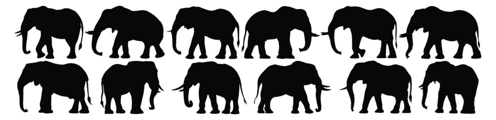 Fototapeta premium Elephant silhouettes set, pack of vector silhouette design, isolated background