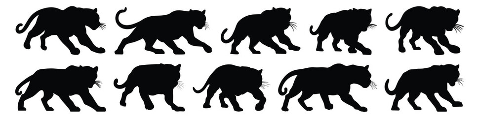 Panther silhouette set vector design big pack of illustration and icon