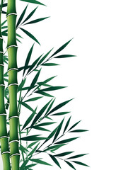 Obraz premium Graceful bamboo stems, minimalist and zen-inspired harmony and resilience. Meditation, nature, wellness, and sustainable living concepts. Verdant Tranquility: Embrace the Serenity of Bamboo's Grace