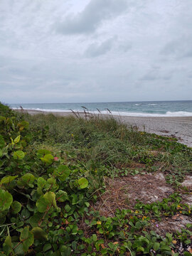 windswept dune and the sea