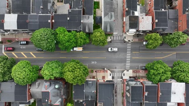 Traffic on road of American neighborhood with green trees. Housing area of city in spring season. Aerial straight top down.