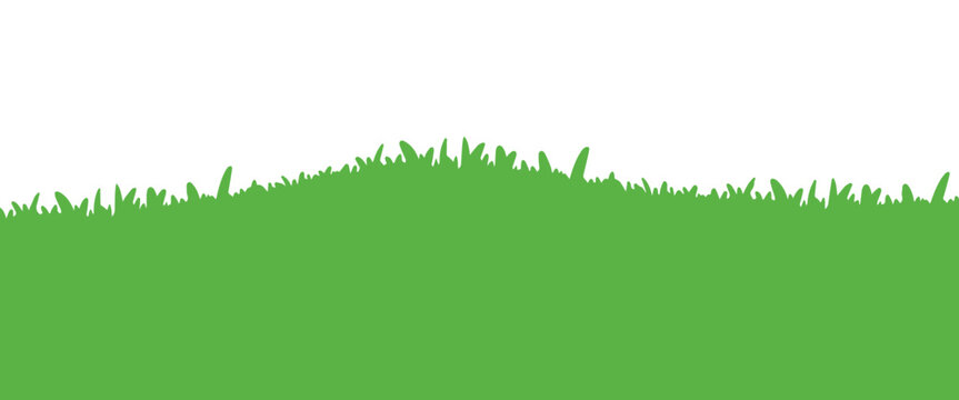 Grass Meadow Bottom Border for Background Element Decoration Vector Illustration