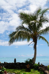 Fototapeta premium Tiki Village - Moorea Island 